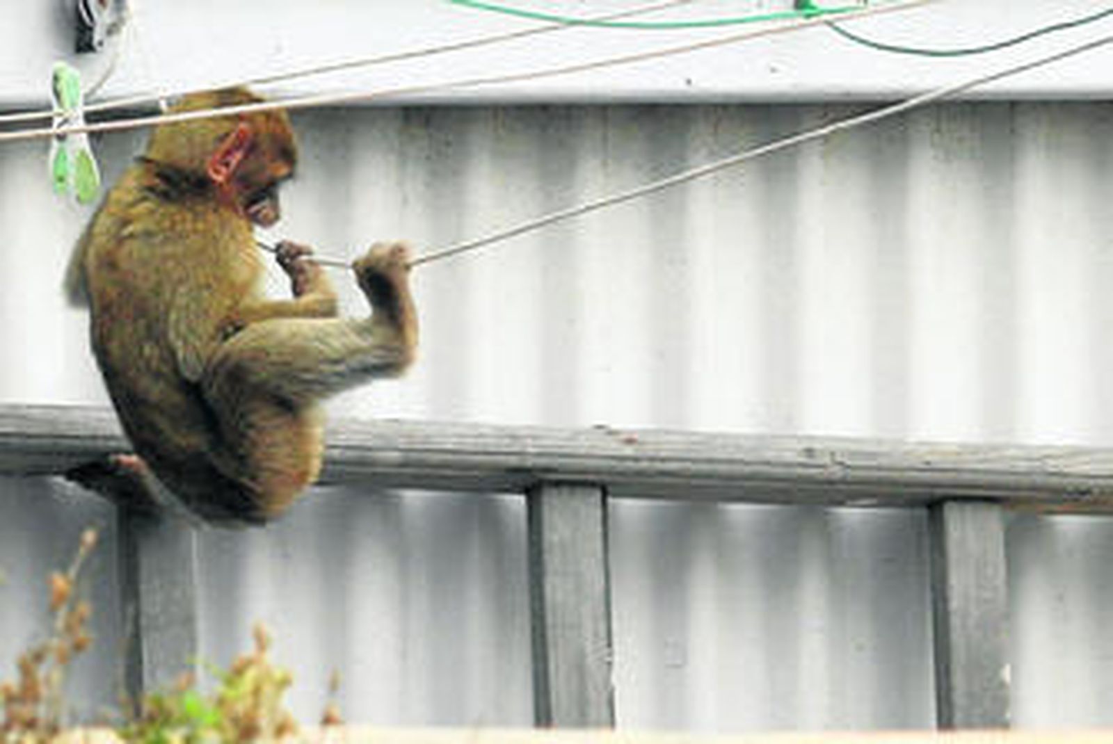 De aventura desde chico