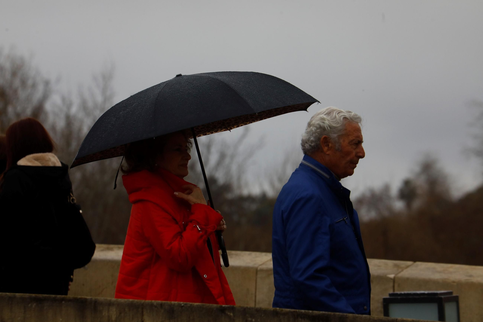 El paso de la borrasca Herminia por Córdoba, en imágenes