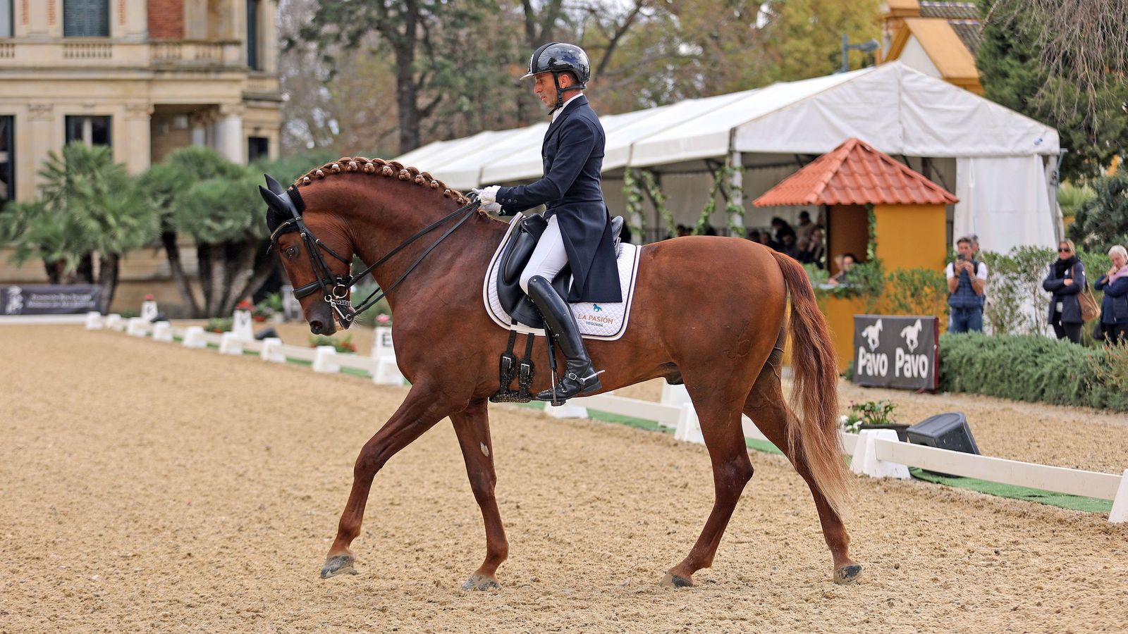 Concurso Internacional de Doma Clásica en La Real Escuela de Jerez