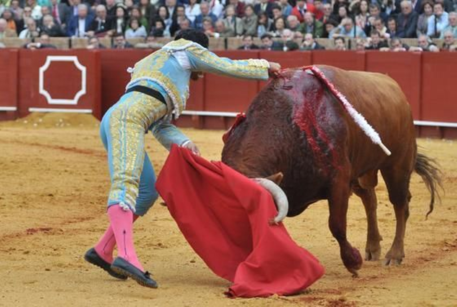 Bolívar se volcó realmente en la estocada.

Foto: Manuel Gómez