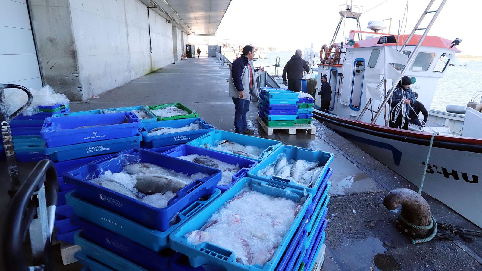 Descarga de pescado en la lonja puntaubrieña. Descarga de pescado en la lonja puntaubrieña.