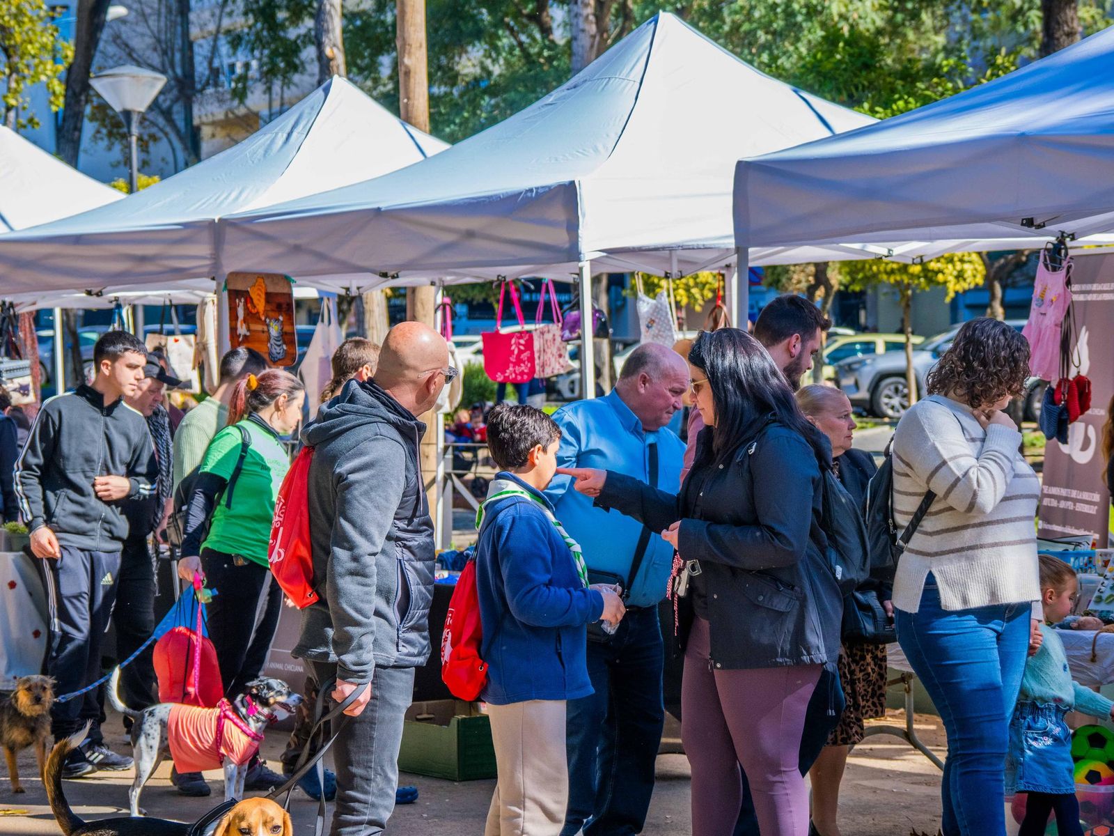 Las imágenes de San Antón 2025 en San Fernando