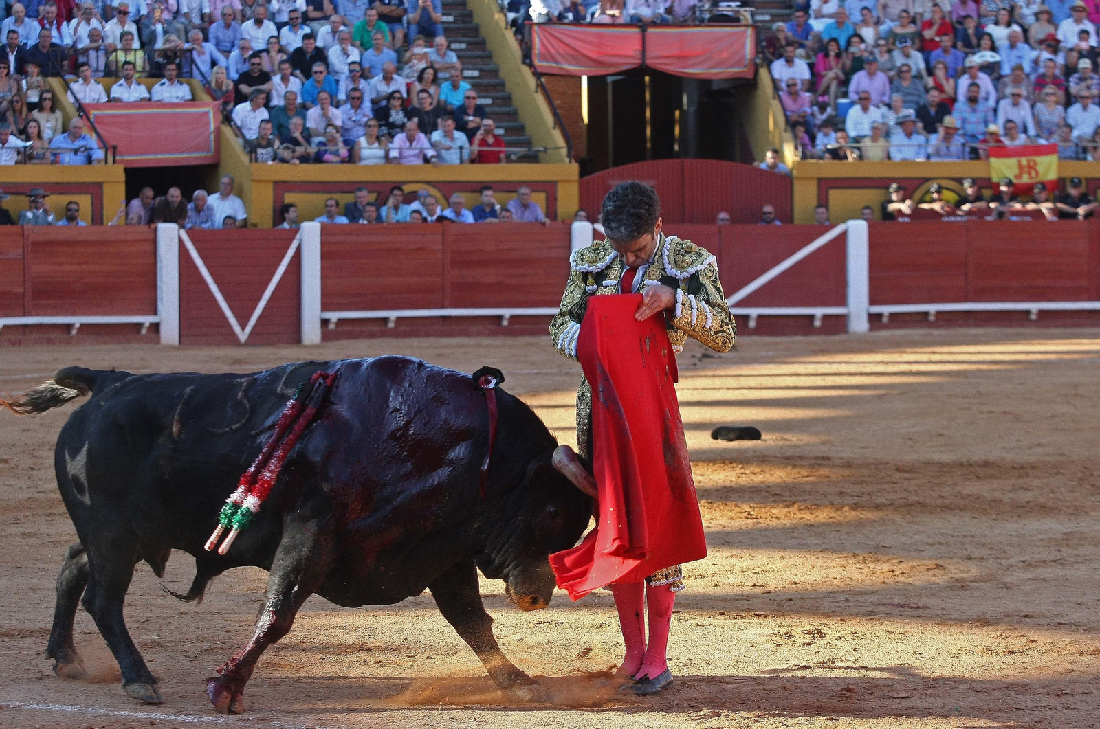 Las imágenes de la reaparición de José Tomás en Algeciras