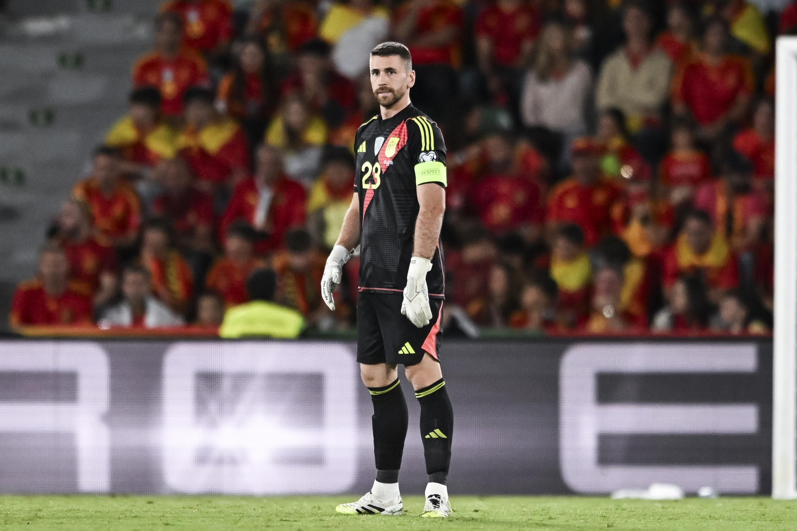 Las mejores fotos del España-Georgia