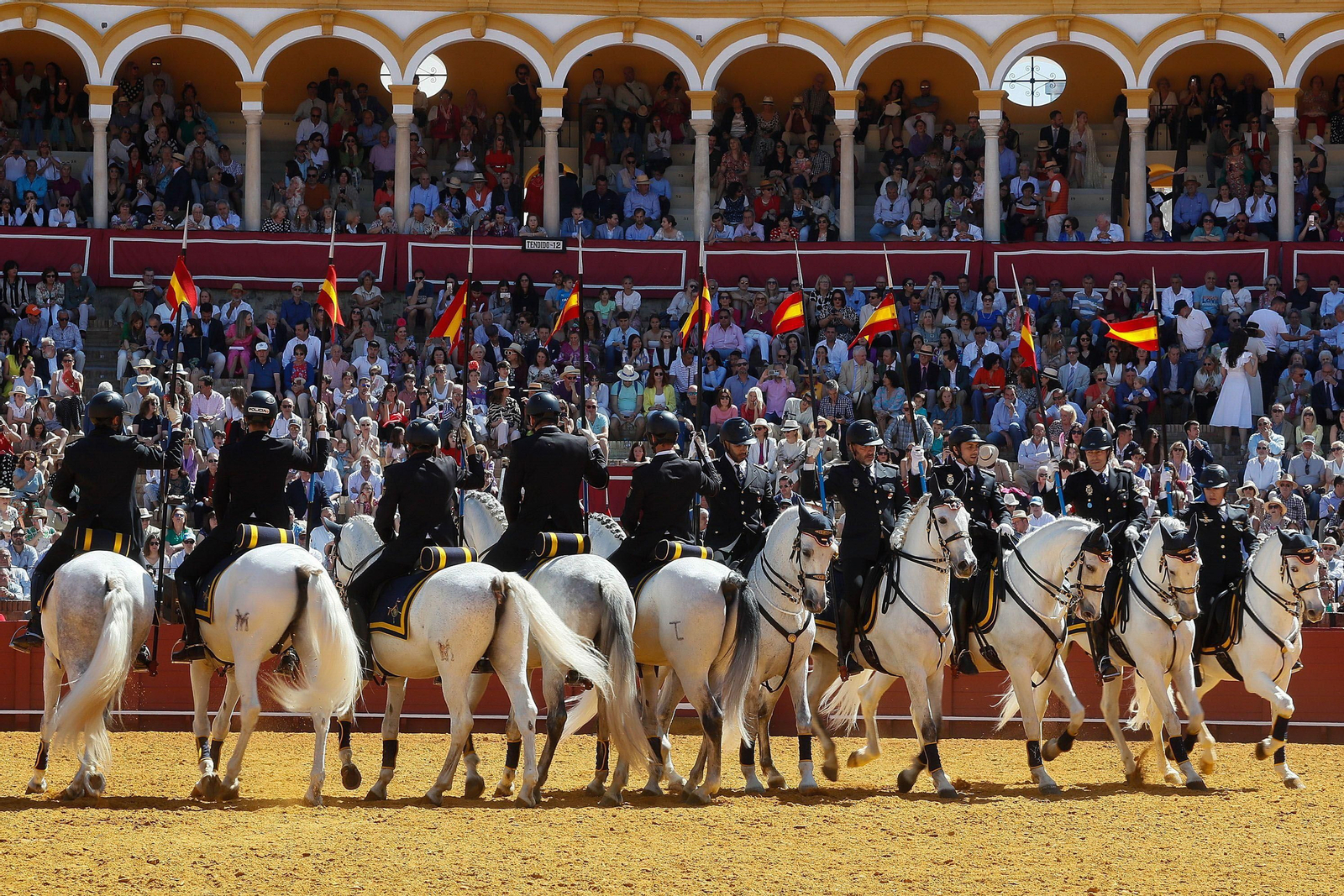 Exhibición de la Unidad de Caballería en la Maestranza.