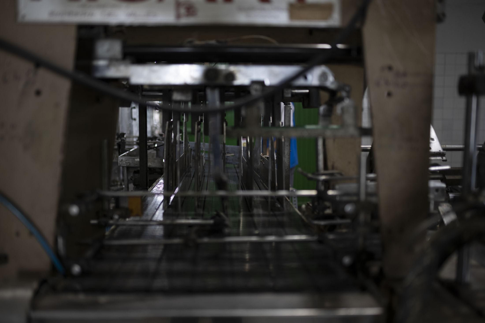 Imágenes de la vendimia en el Condado de Huelva