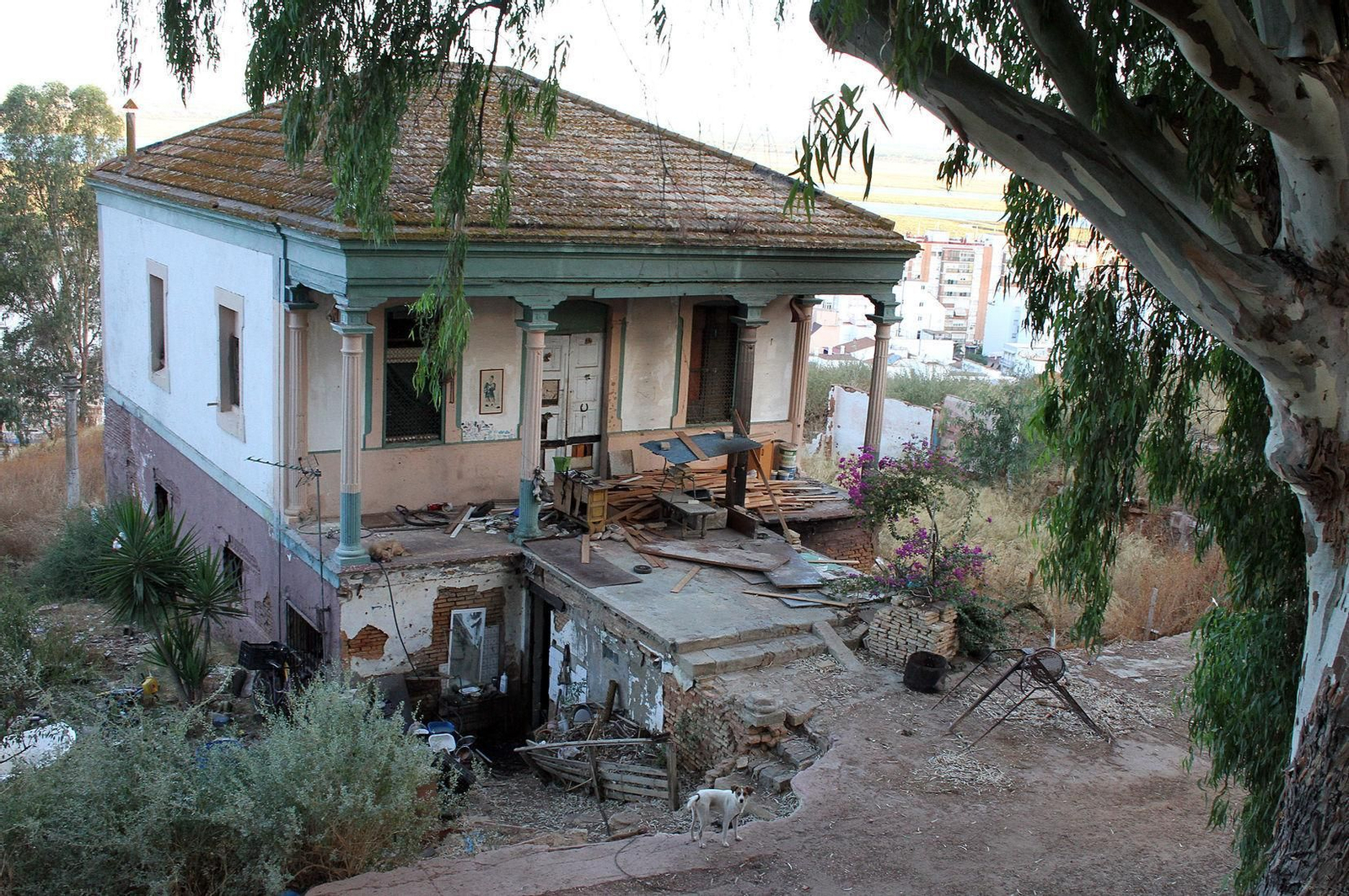 Estado de abandono que presenta Villa Rosa. Estado de abandono que presenta Villa Rosa.