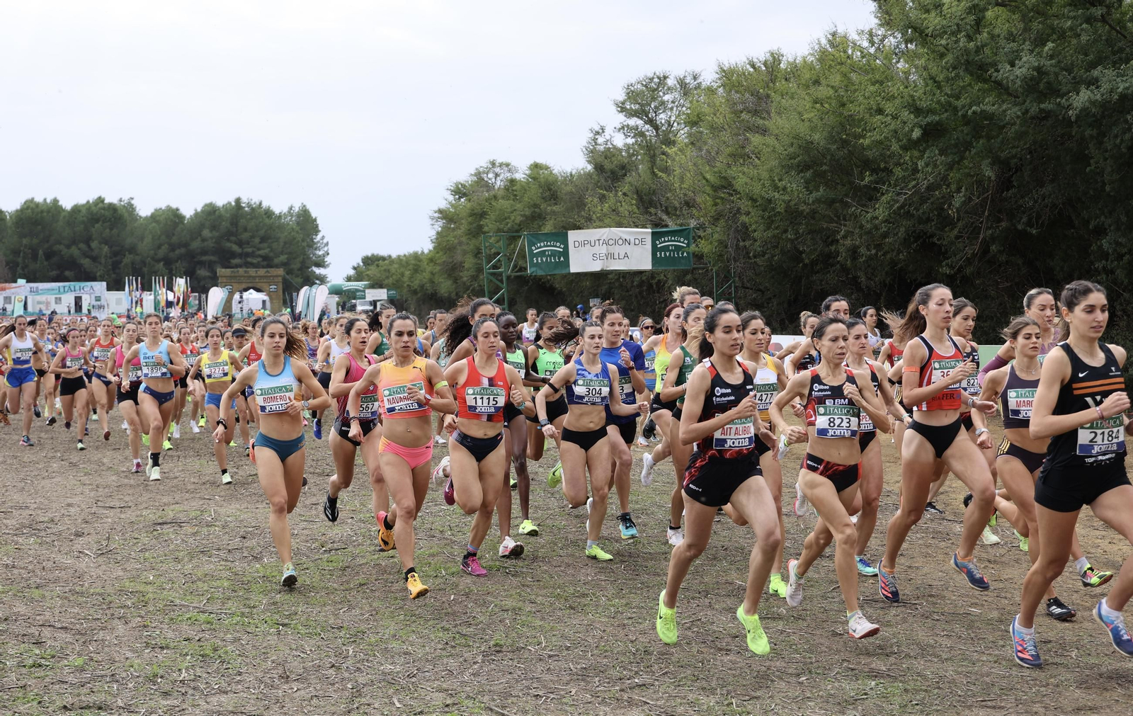 Cross Internacional de Itálica
