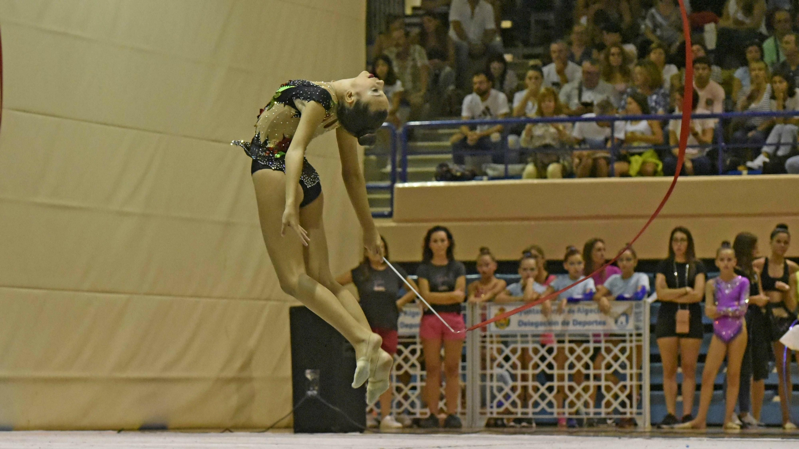 GIMNASIA RITMICA