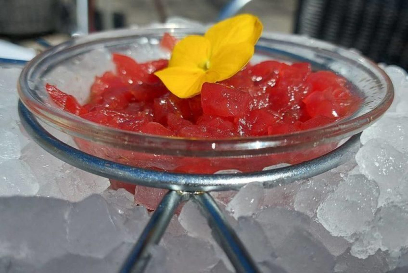 La ruta del atún rojo en Sevilla: doce templos que no te puedes perder