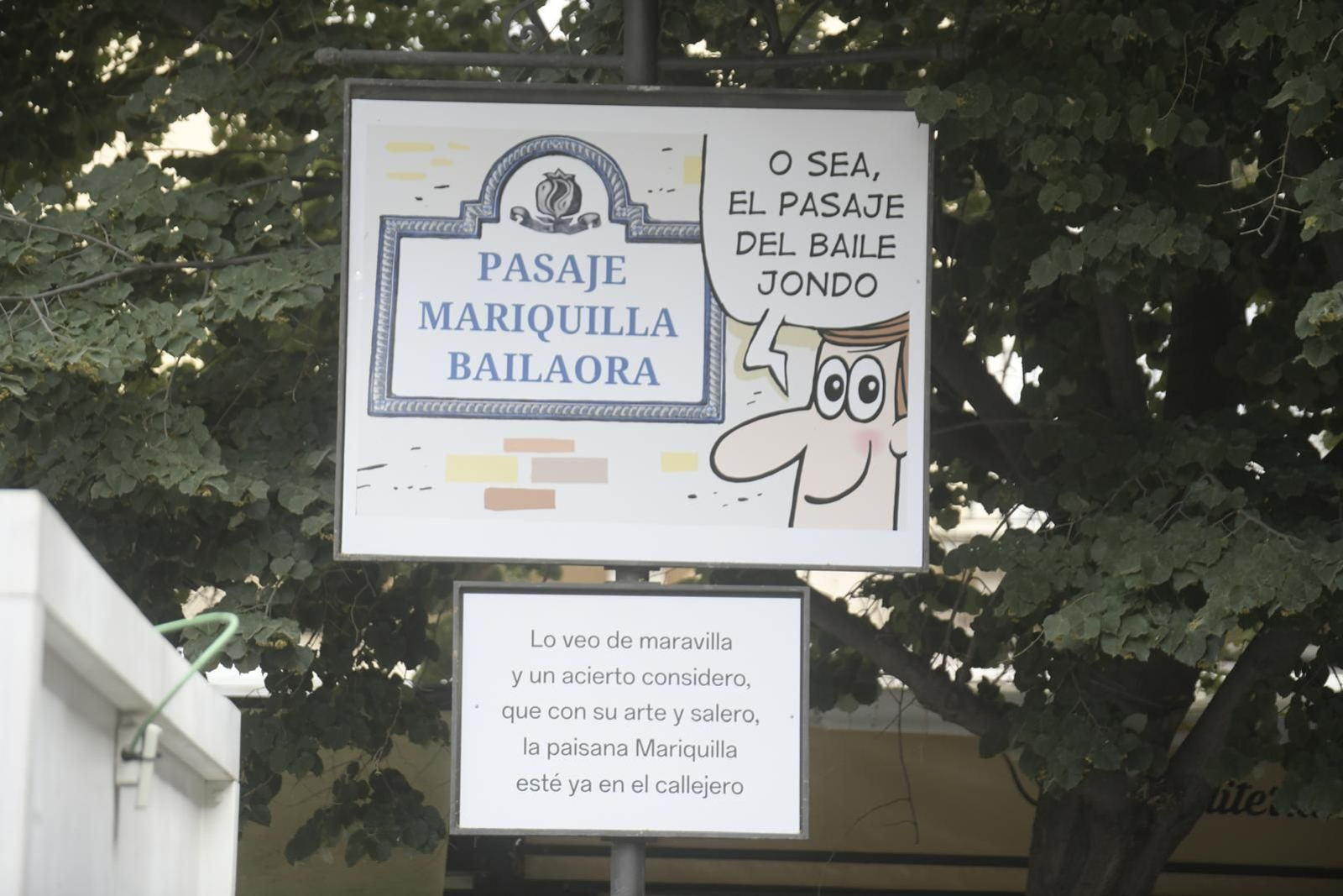 Estas son las carocas del Corpus de Granada 2025