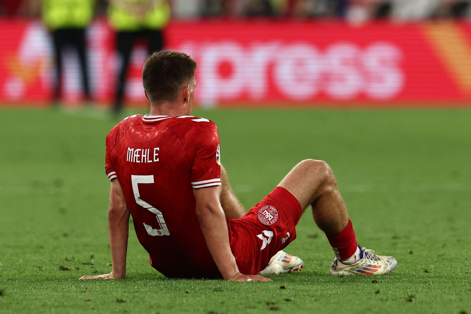 Las mejores fotos del Alemania - Dinamarca