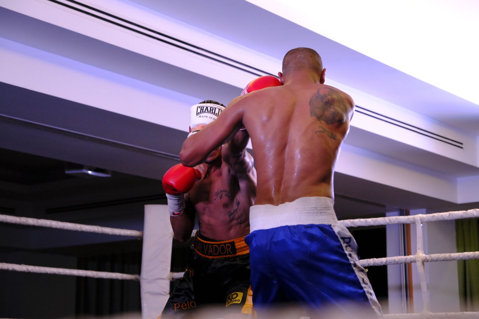 Fotogalería de la velada de boxeo Diamonds Boxing