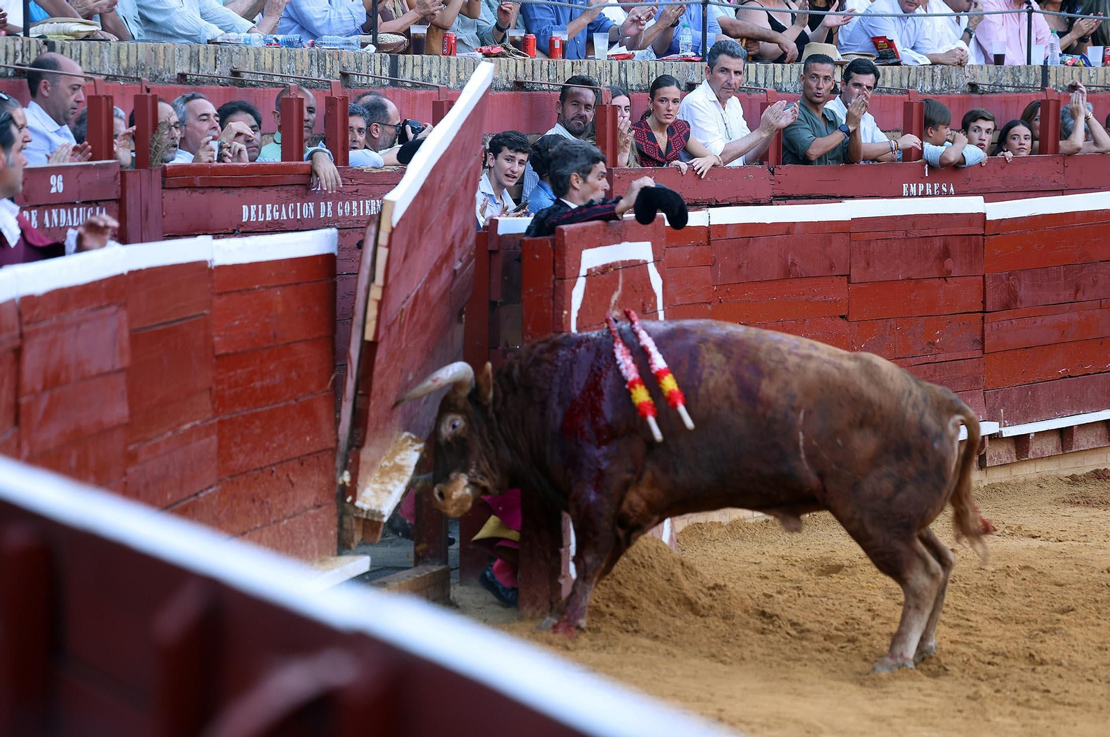 Toros La Merced 2025: Imágenes de la corrida de David de Miranda, Marco Pérez y Borja Jiménez