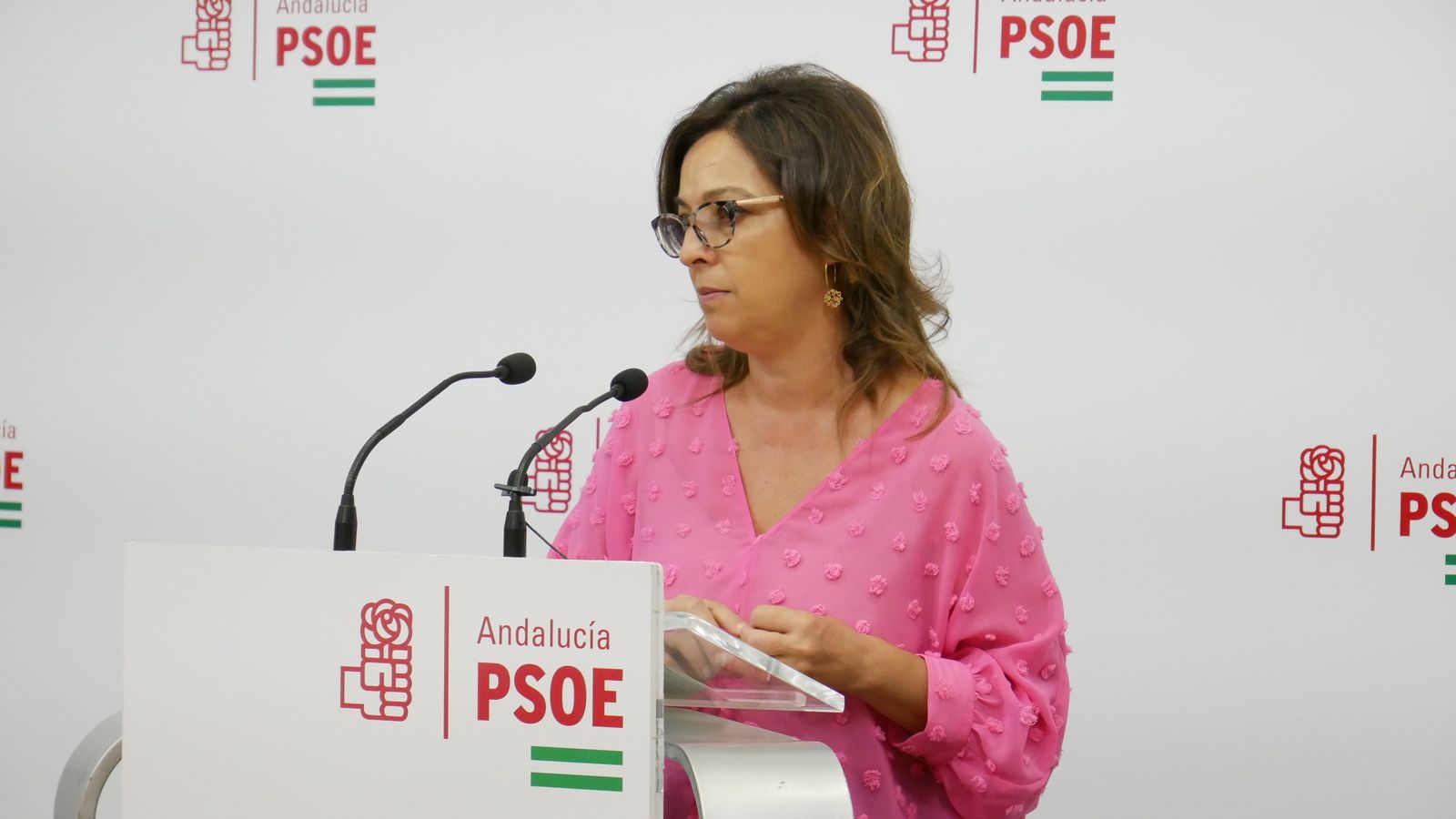 La parlamentaria socialista por Córdoba Isabel Ambrosio.