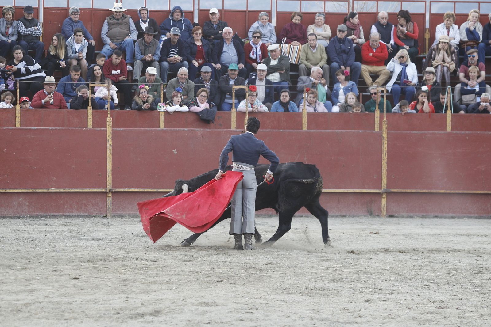 Fotogalería Festival Taurino Mixto. Fiestas de Abrucena.