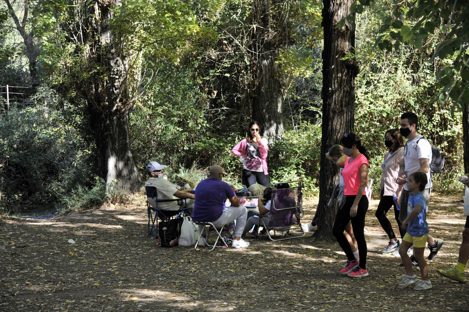 Nuevo lleno de visitantes en El Bosque