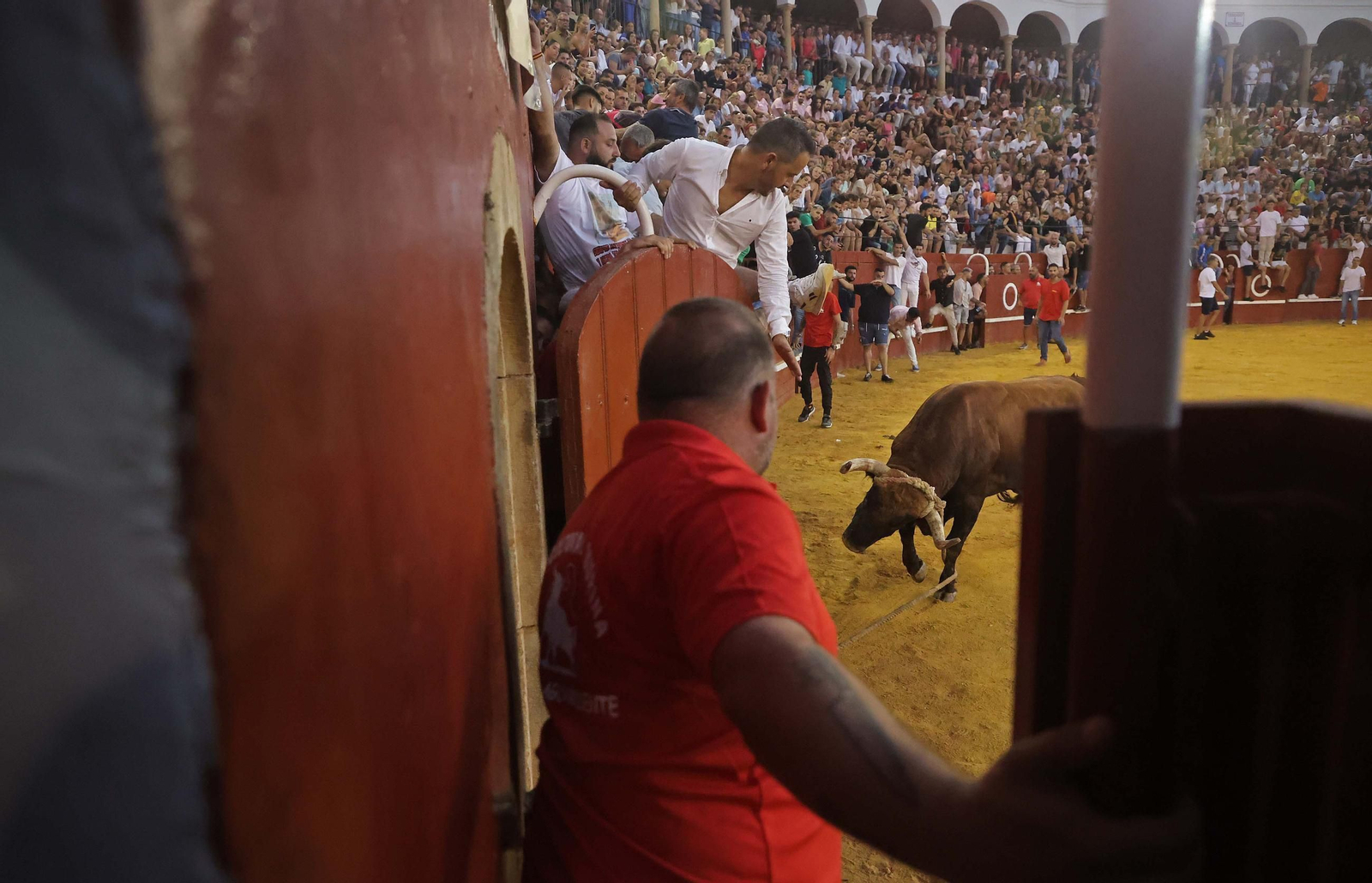 Las mejores fotos del Toro del Aguardiente en San Roque