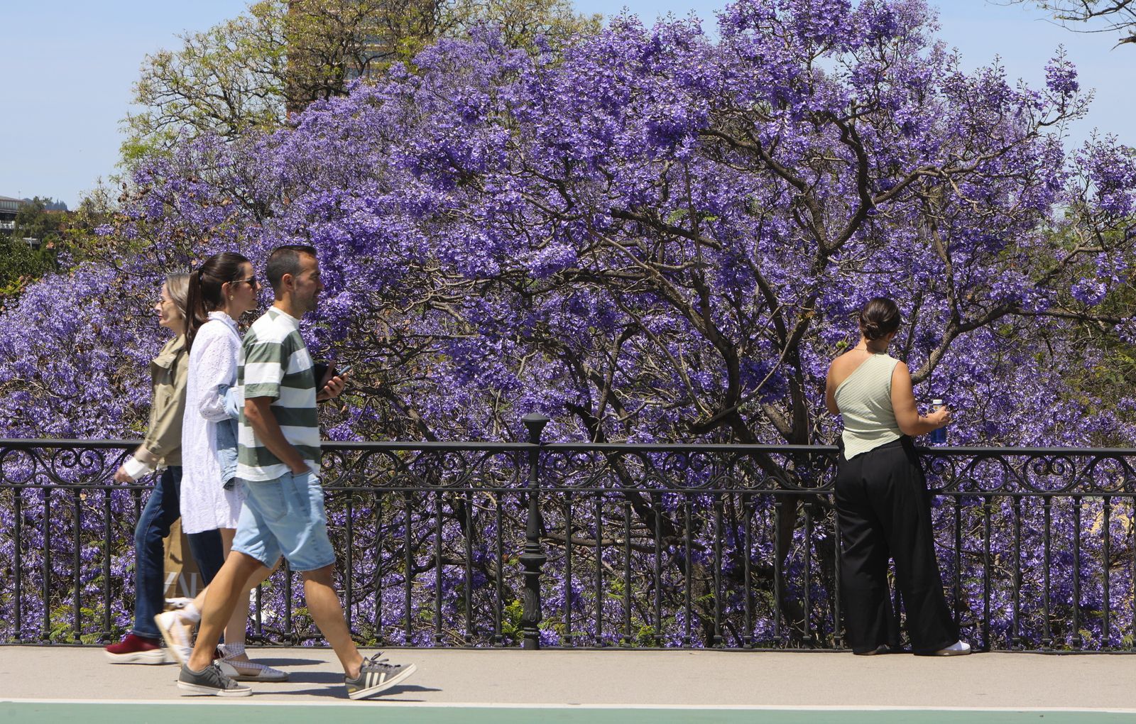 Primavera en Sevilla