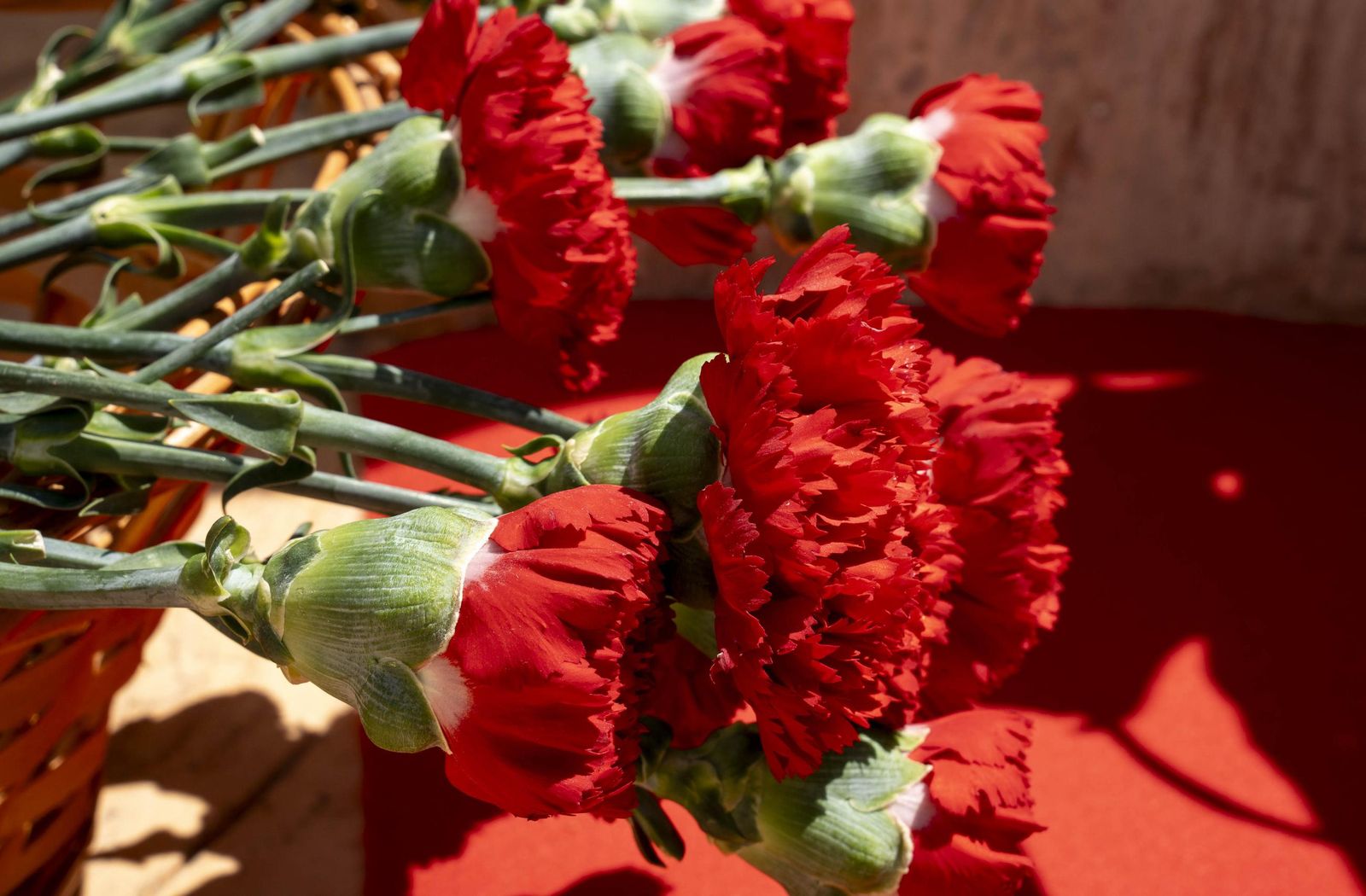 Las imágenes del homenaje a Juan Mañas, víctima del caso Almería