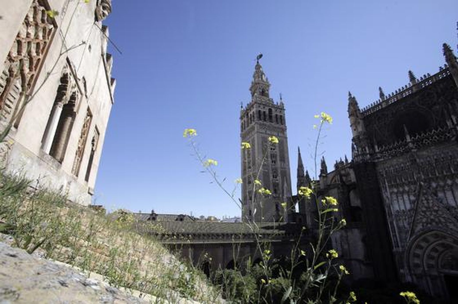 Foto: Antonio Pizarro