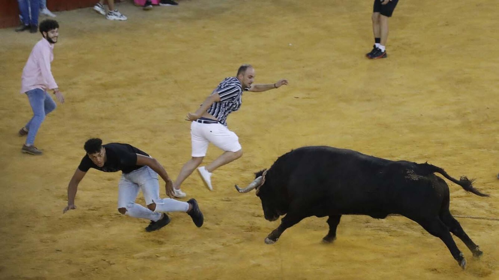 Las fotos del Toro del Aguardiente de San Roque