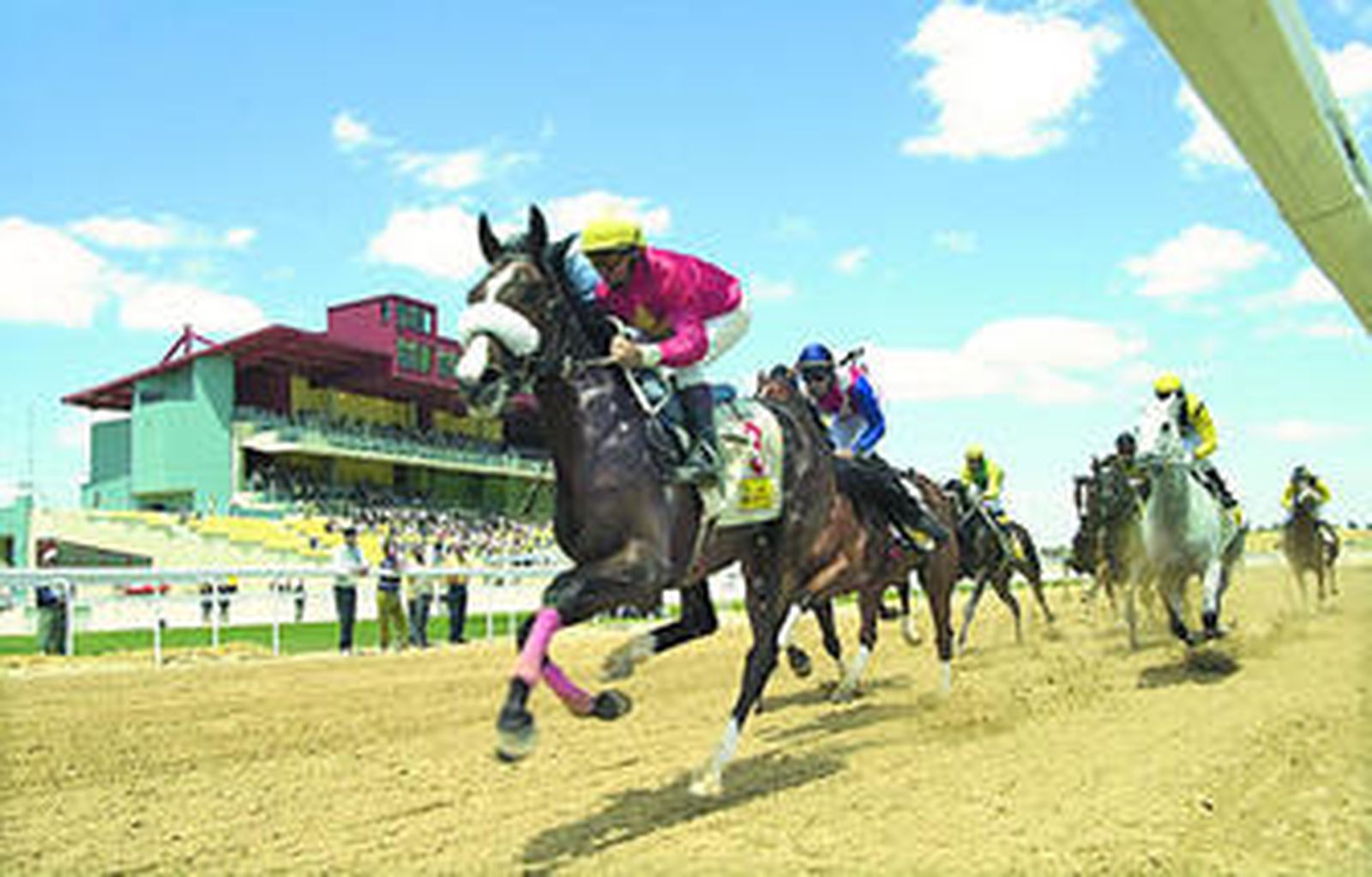 Carrera de caballos en el hipódromo de Dos Hermanas.