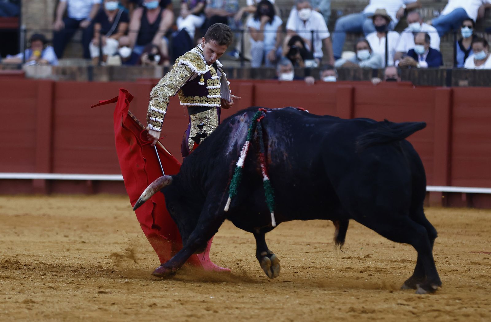Fotos de la segunda novillada de la feria de San Miguel de Sevilla