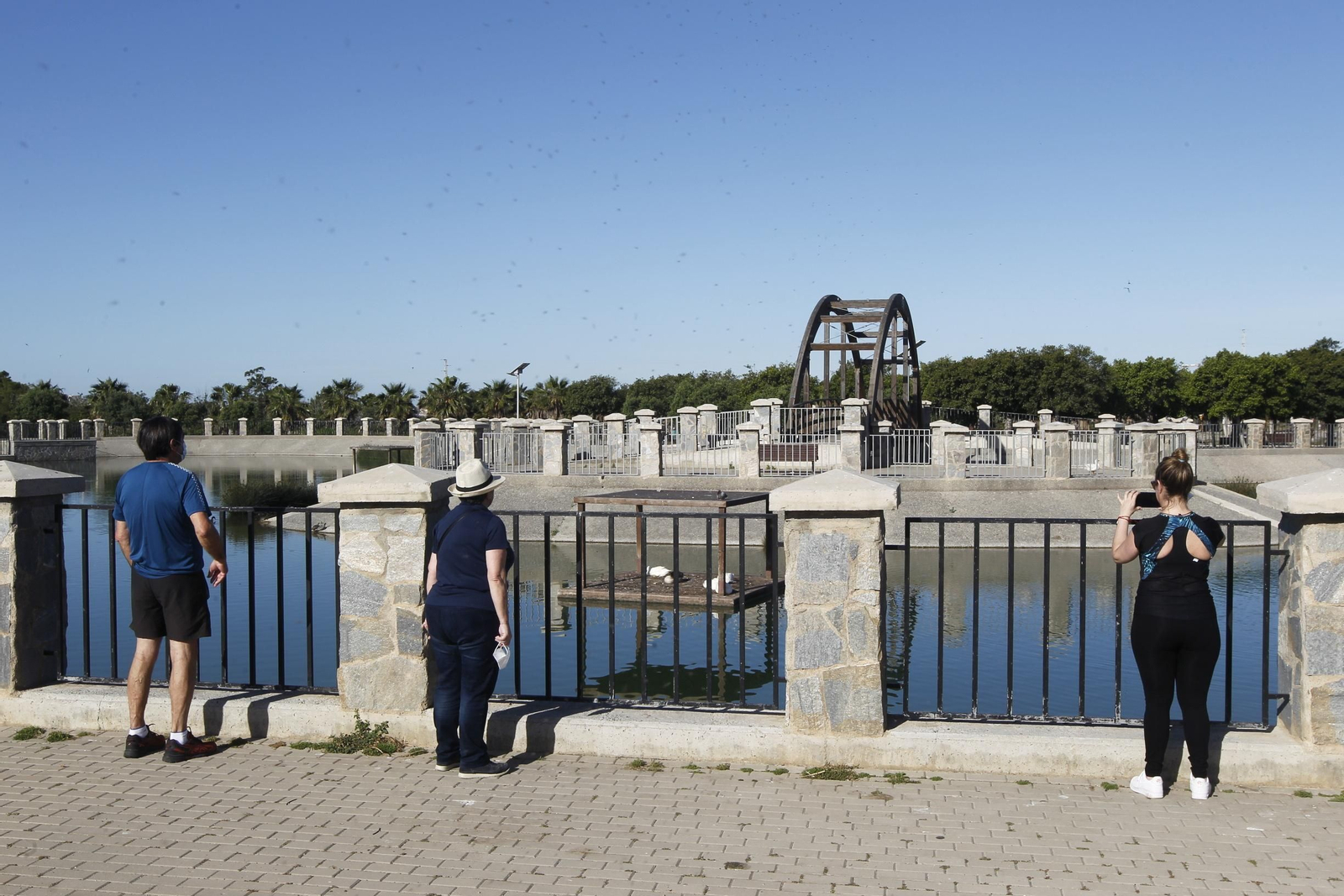 Fotogalería domingo de deporte en coronavirus. COVID-19. Almería