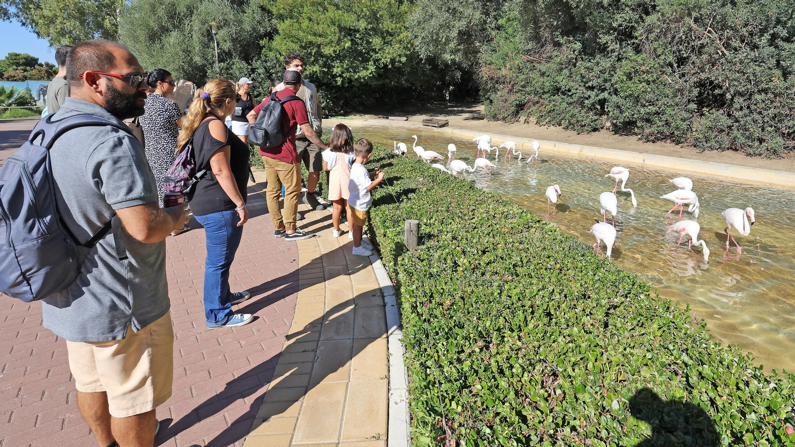 Día de las aves en el Zoo de Jerez