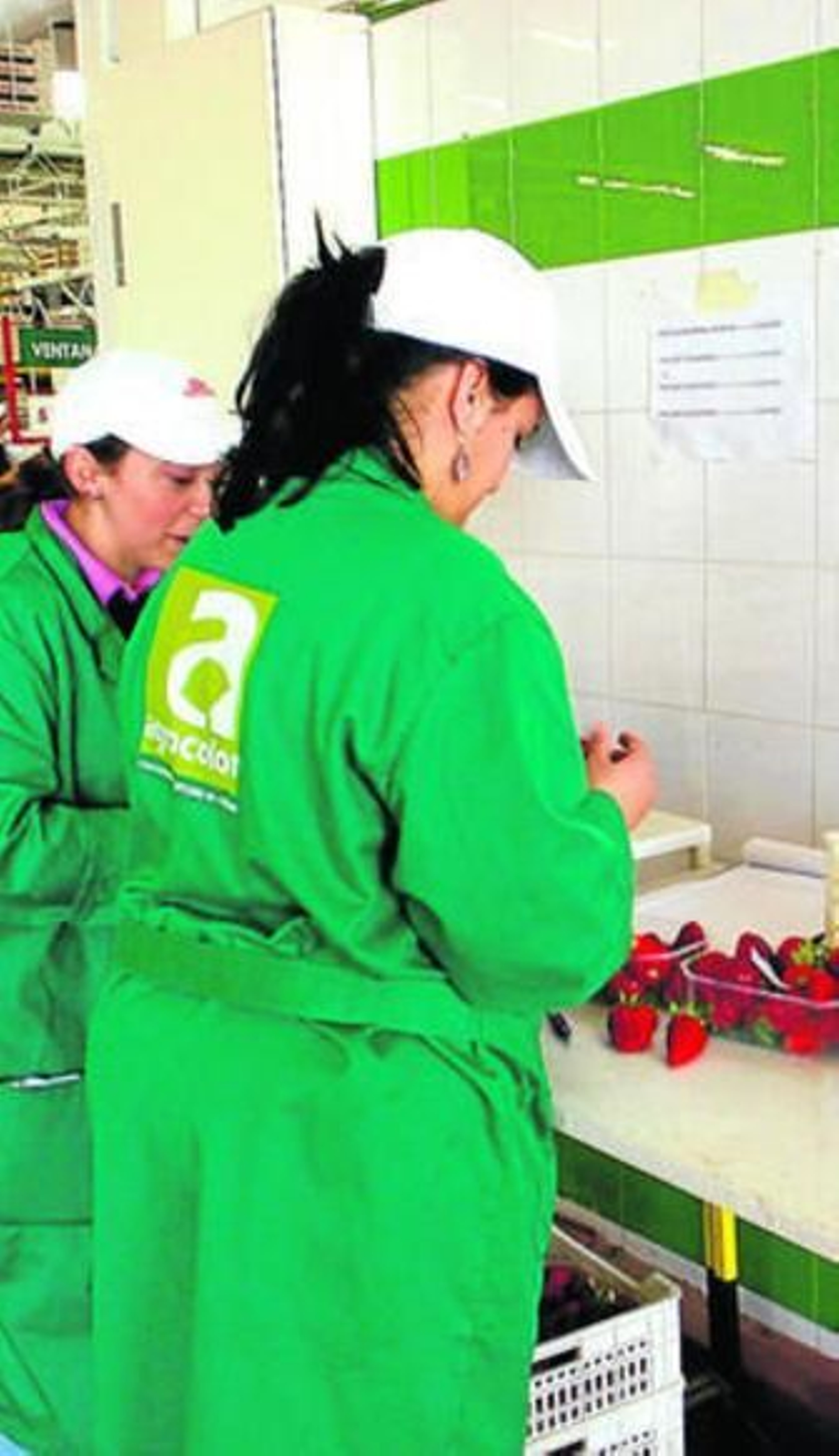 Agrocolor y Coexphal organizan este encuentro internacional en Roquetas.