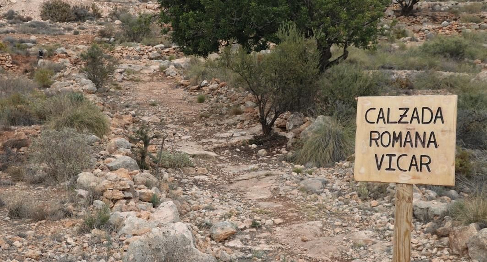 El fallo se dará a conocer el 30 de noviembre