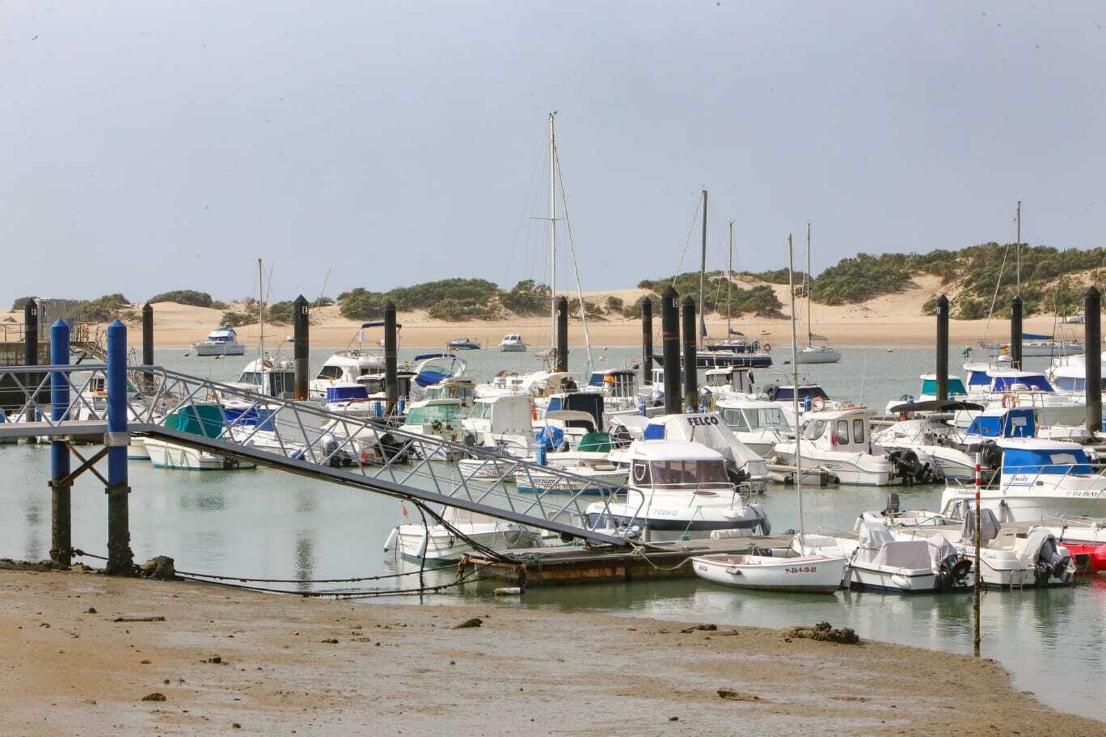 Barcos fondeados en la bajamar del pasado jueves frente al Club Náutico de Sanci Petri.
