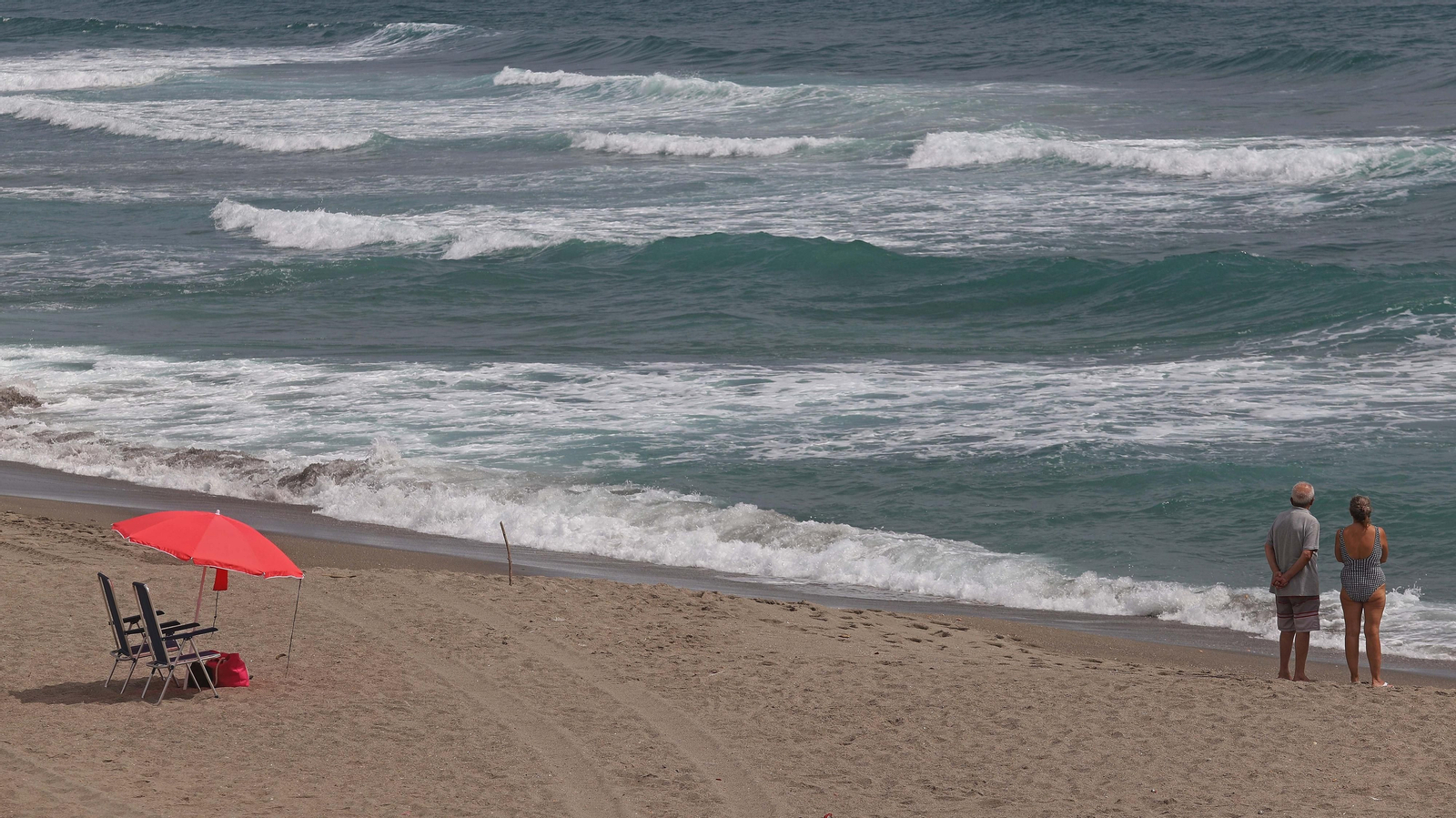Fotos de la invasión de medusas en las playas del Campo de Gibraltar