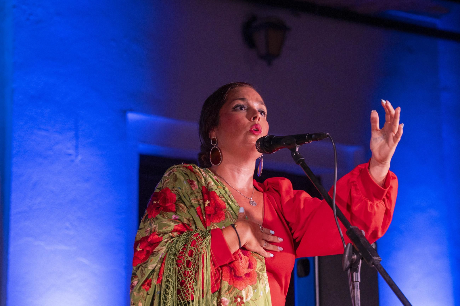 Las mejores imágenes del Festival de Flamenco en Fondón