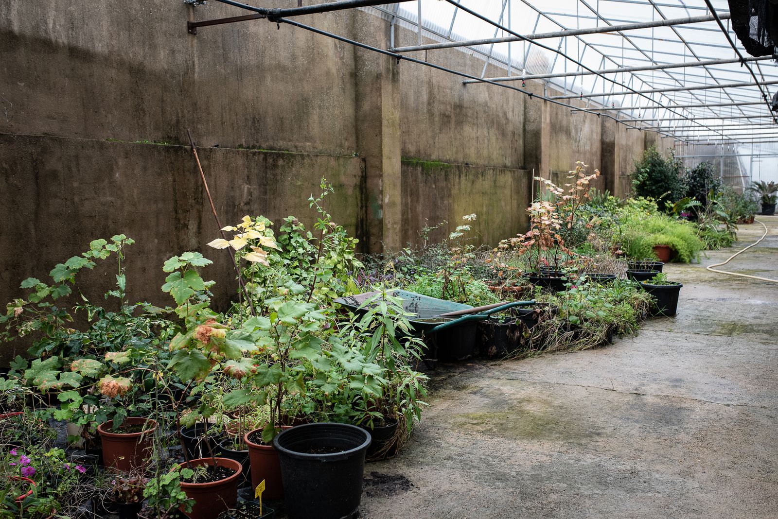 Visita al vivero municipal en imágenes