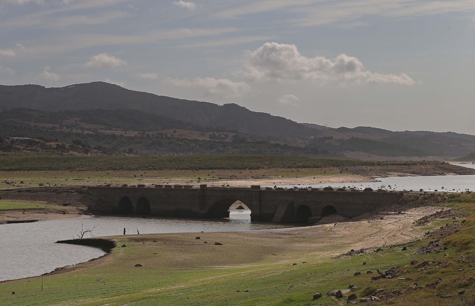 Imágenes del pantano de Charco Redondo en Los Barrios