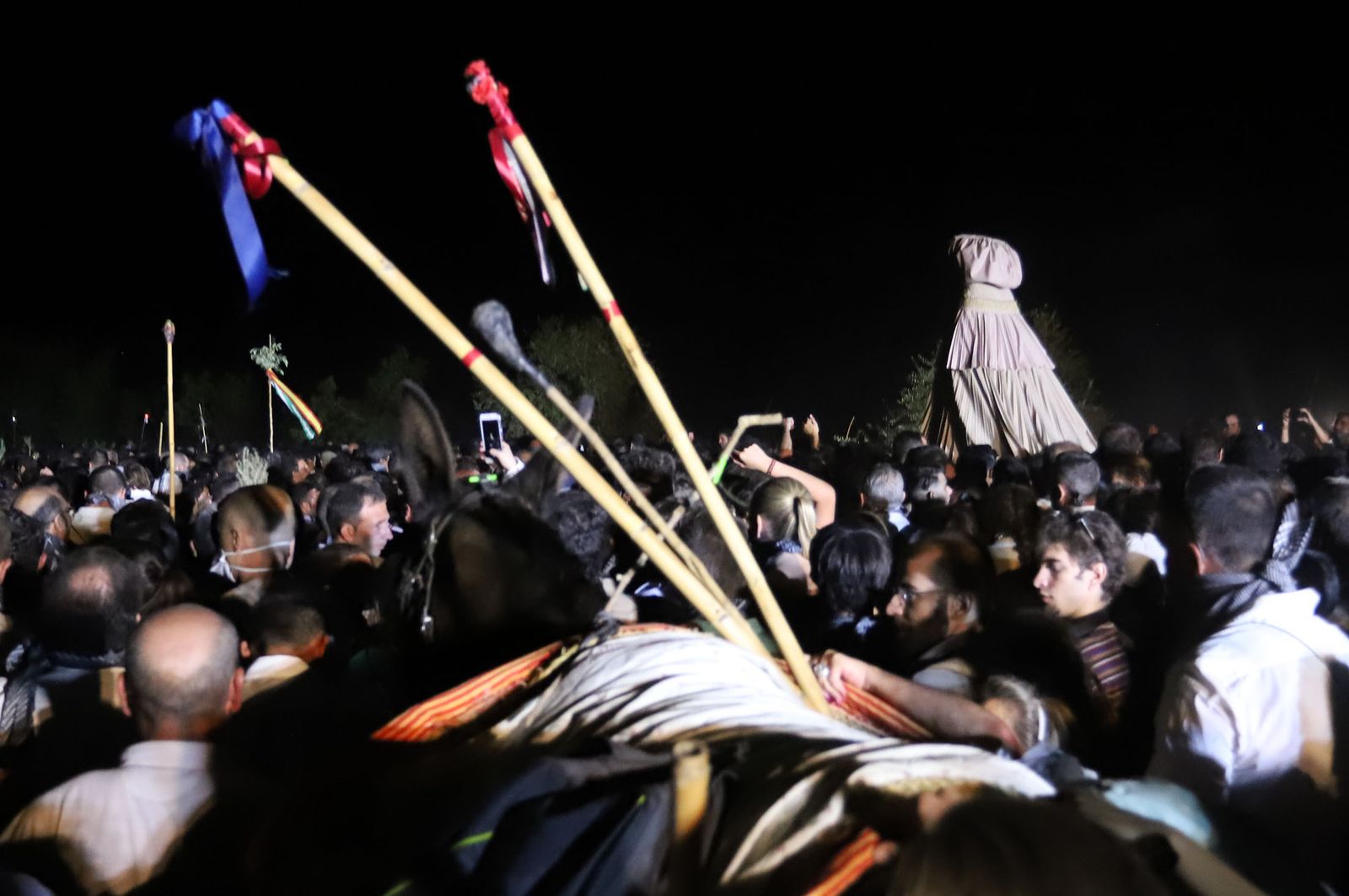 Recuerda las imágenes de la Venida de la Virgen del Rocío a Almonte en 2019