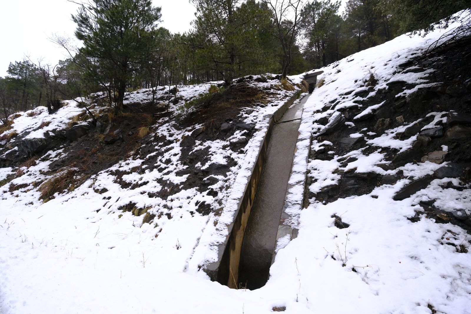 Fotogalería nevada en la Provincia de Almería