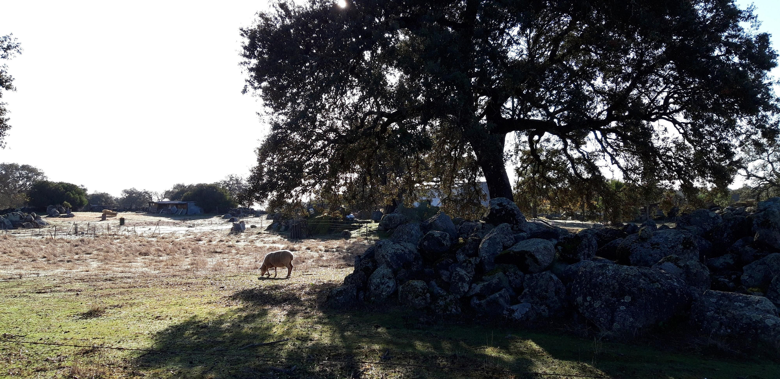 Aunque el sendero en sí es muy sencillo, las vistas merecen la pena.