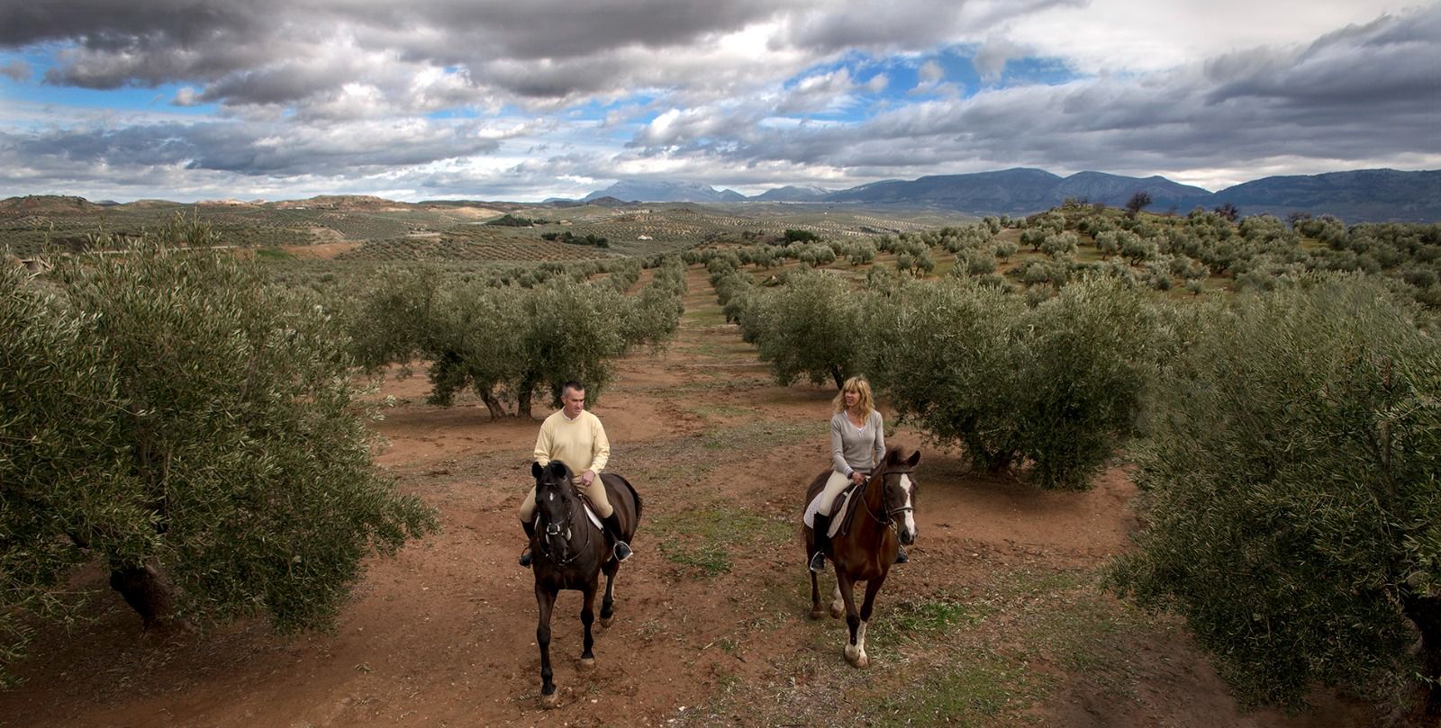 A caballo en un olivar en Jaén.