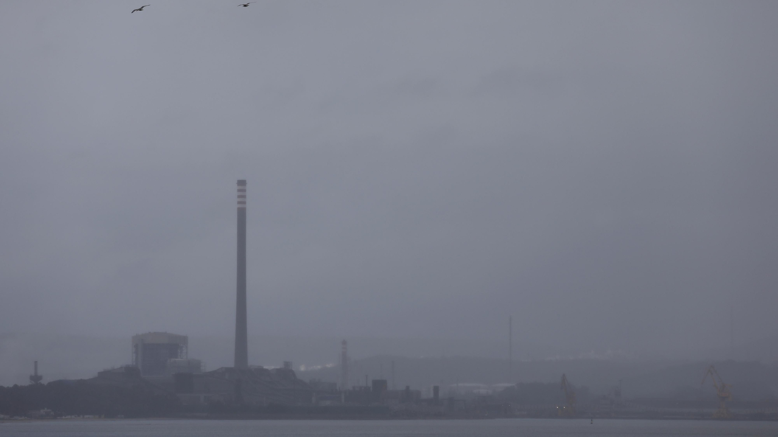 Fotos de la borrasca Nelson en el Campo de Gibraltar