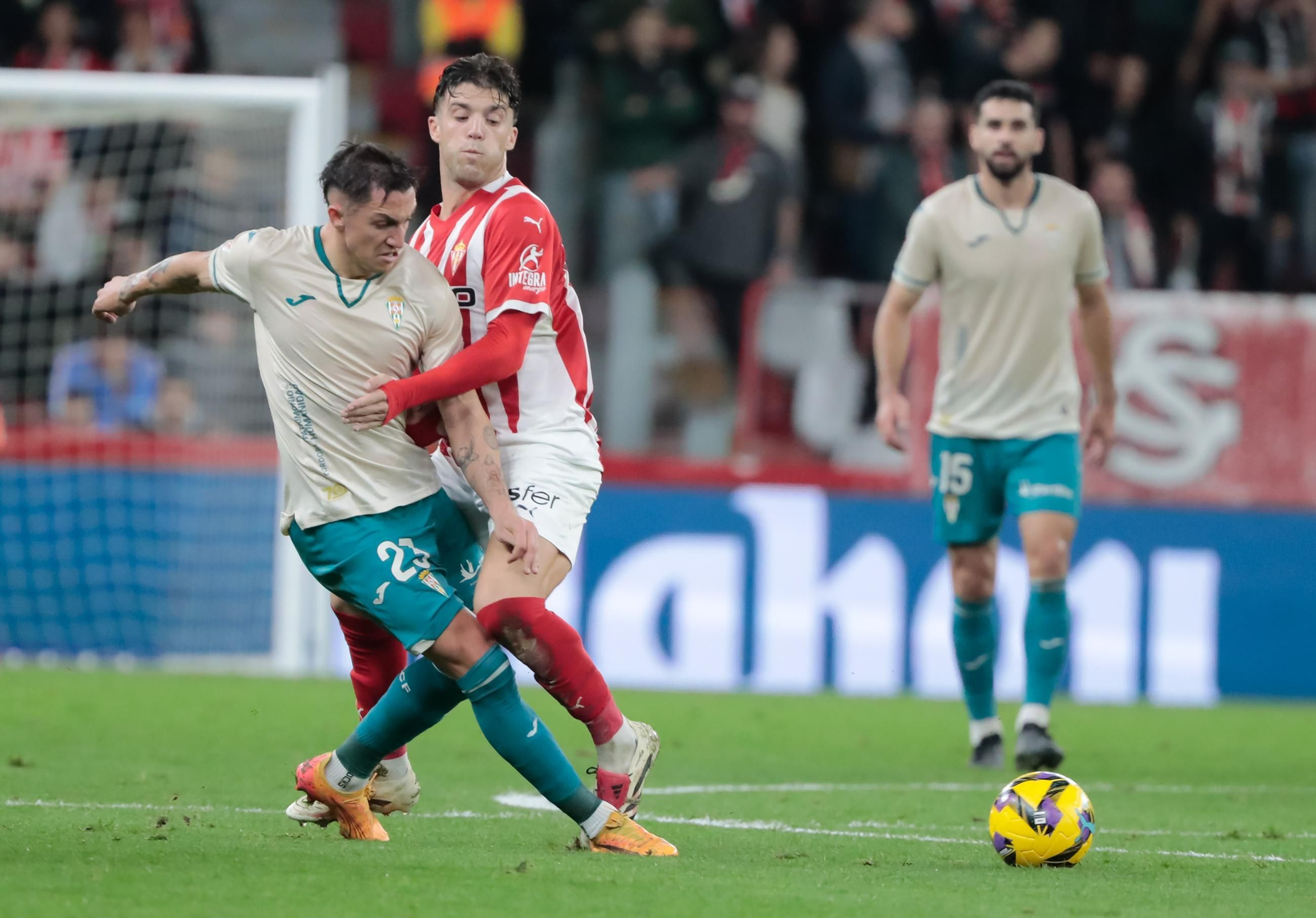 Las mejores fotos del Sporting de Gijón - Córdoba CF en El Molinón