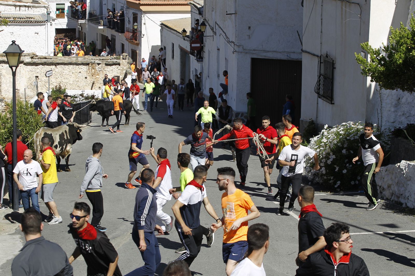 Fotogalería Tosos Ensogaos Ohanes. Fiestas San Marcos.