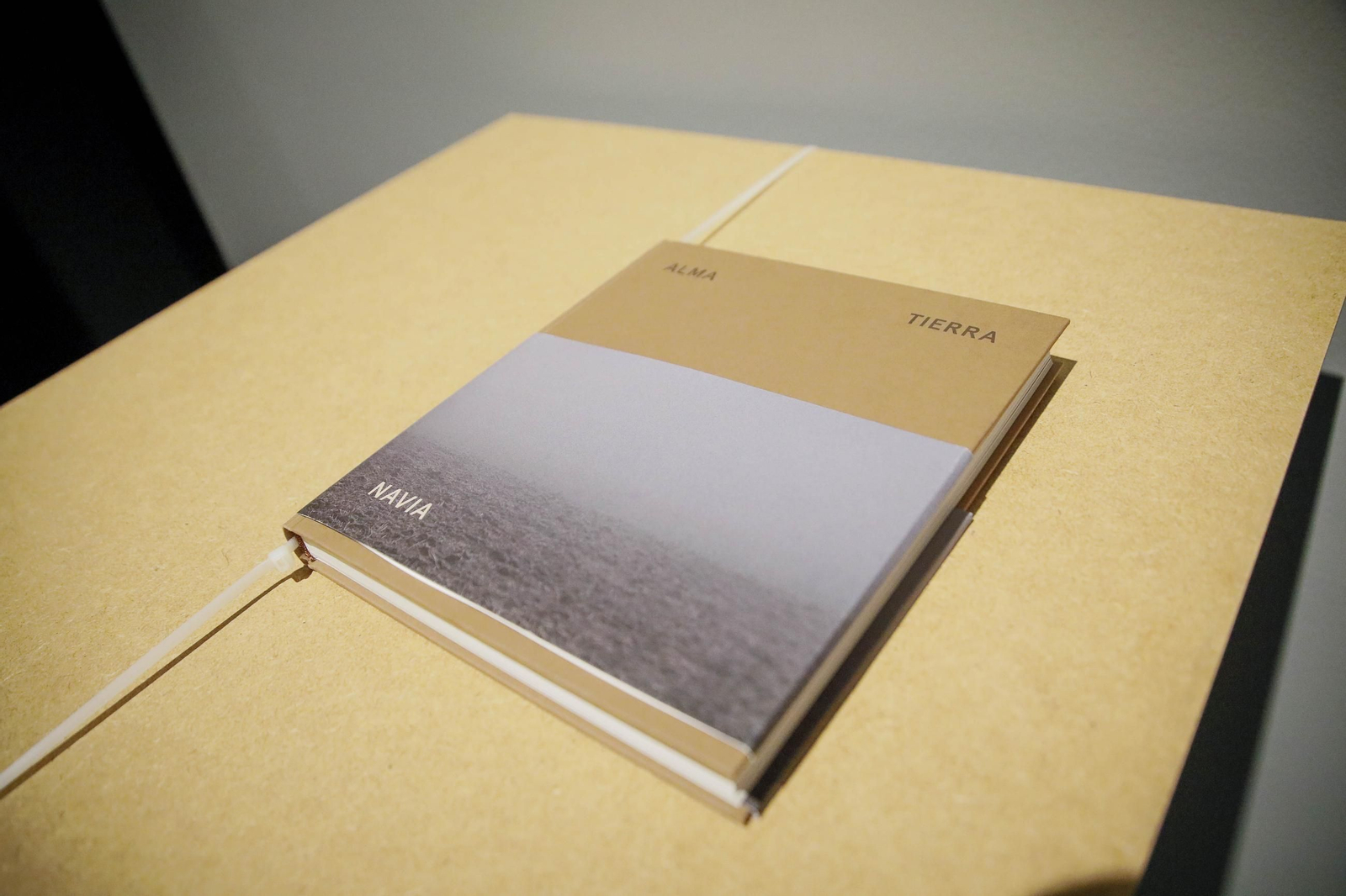 Las imágenes de la exposicion "Alma Tierra" de Jose Manuel Navia del CAF