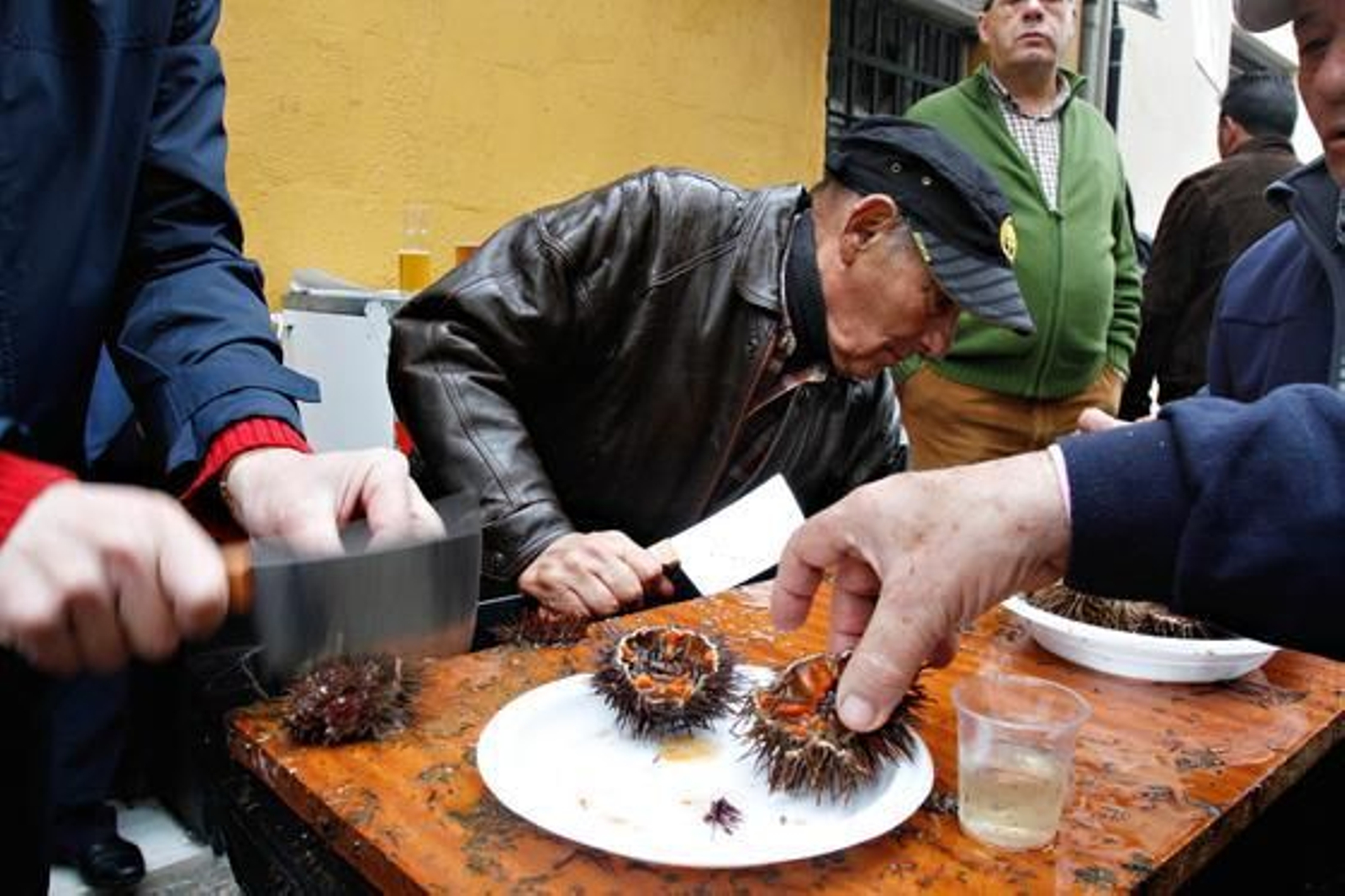 Foto: Lourdes de Vicente