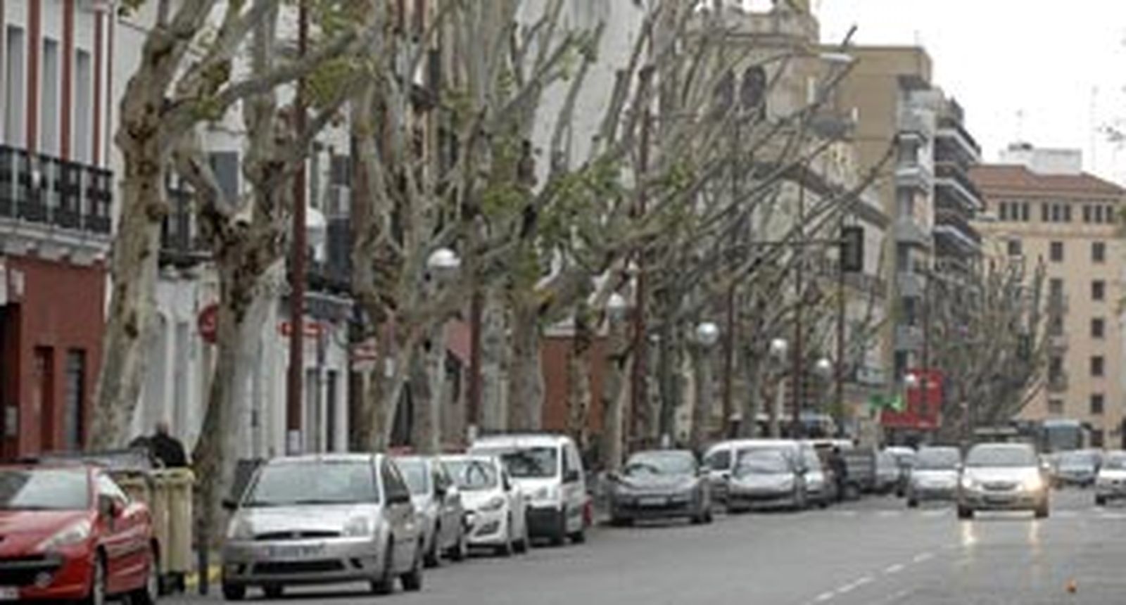 Cuando la poda perjudica