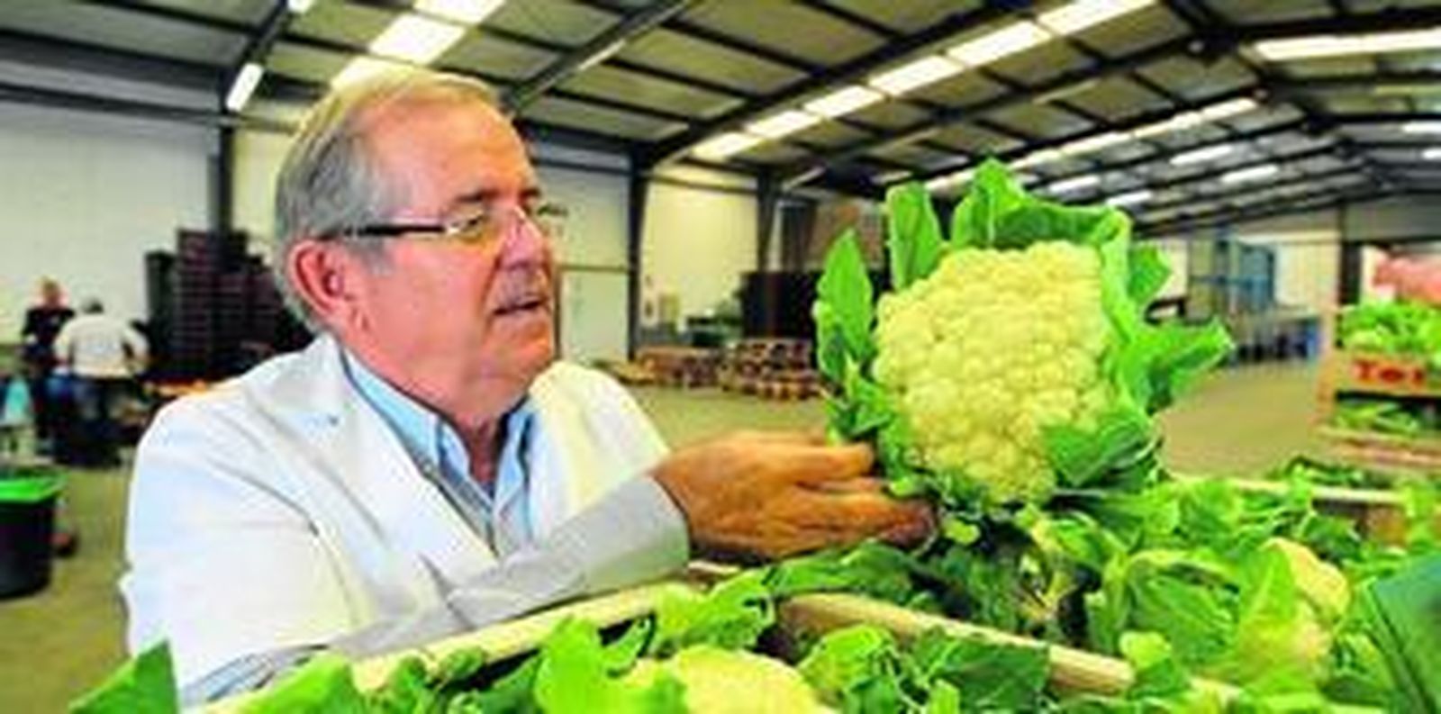 Pascual Soler, presidente de Tomasol, en uno de los almacenes donde se clasifican las coliflores.