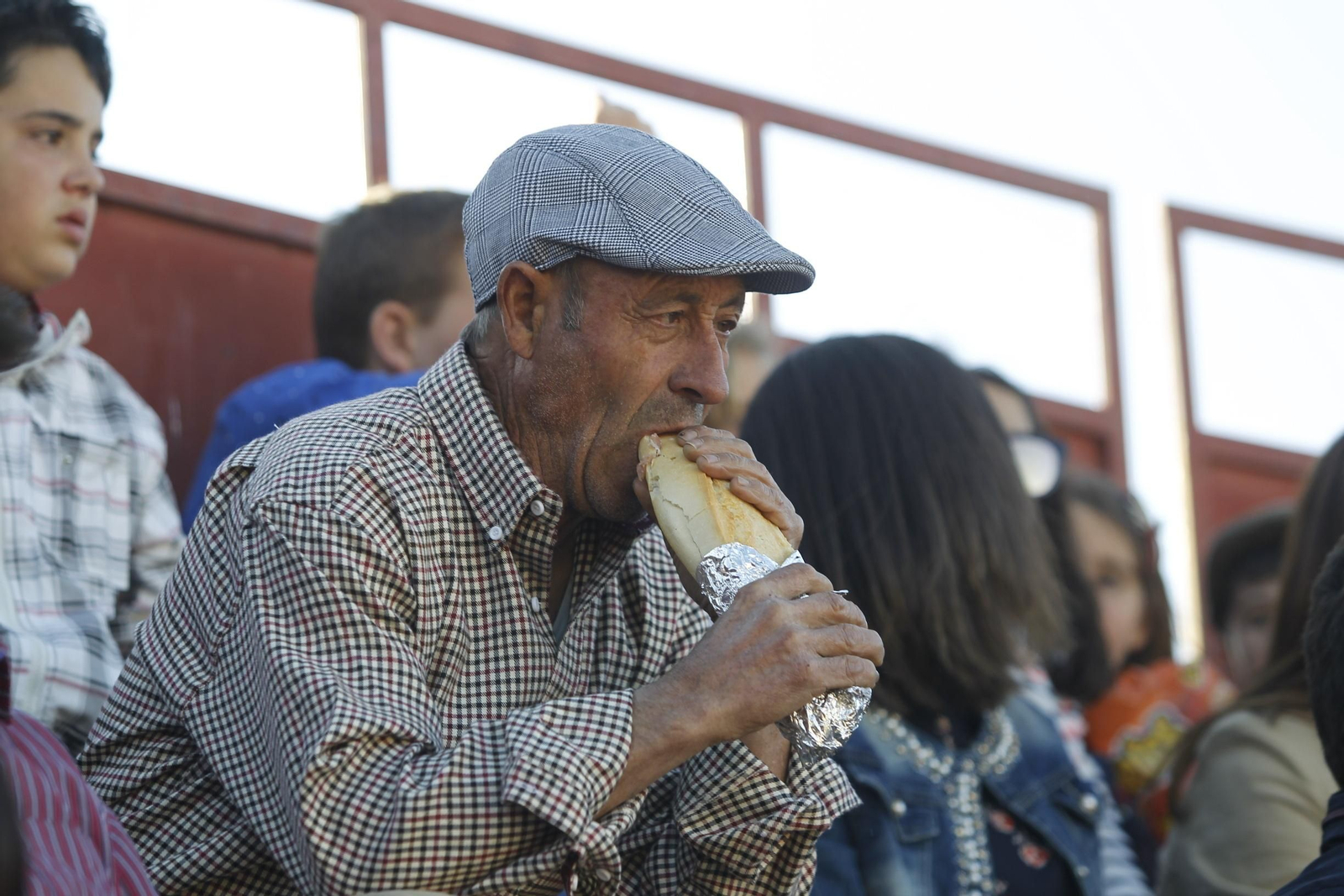 Fotogalería Novillada Fiestas de Abrucena