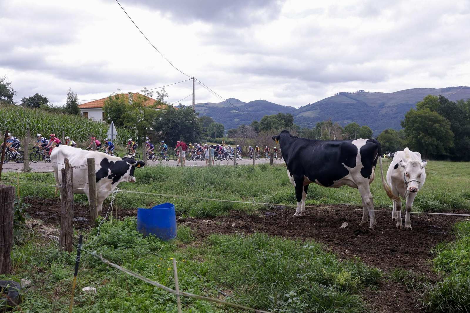 Las mejores fotos de la Vuelta a España | Etapa 12